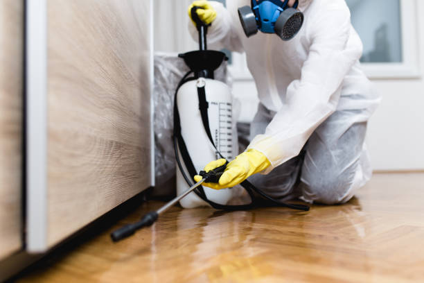 Best Commercial Pest Control Services  in Penitas, TX