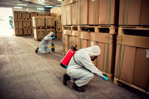 Wasp Removal Services in Penitas, TX