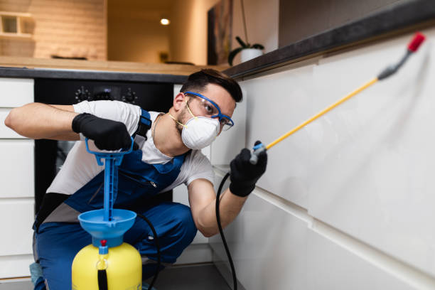 Best Residential Pest Control  in Penitas, TX