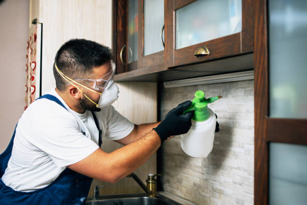 Best Affordable Pest Control Services  in Penitas, TX