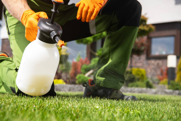 Best Cockroach Control Services  in Penitas, TX