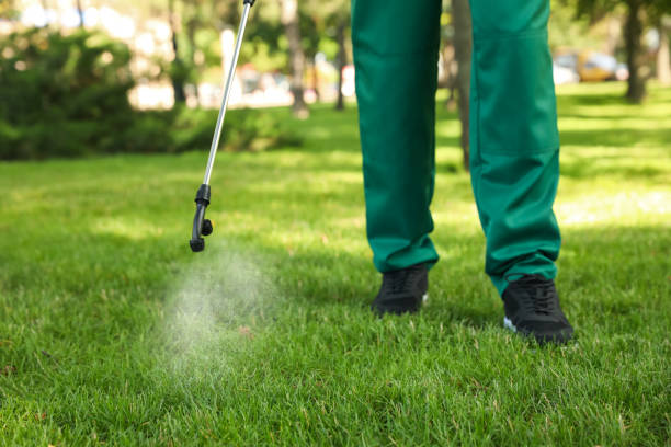 Best Commercial Pest Control Services  in Penitas, TX