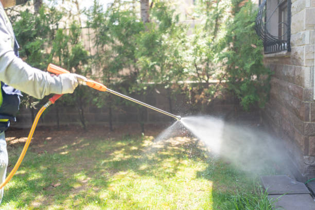 Professional Pest Control in Penitas, TX