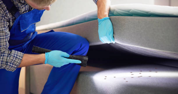 Best Emergency Pest Control  in Penitas, TX