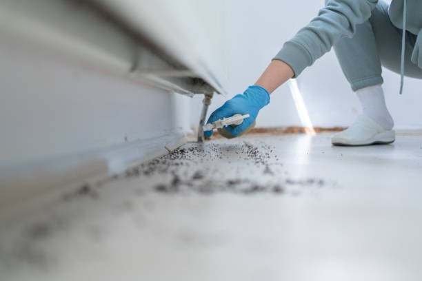 Best Bed Bug Extermination  in Penitas, TX