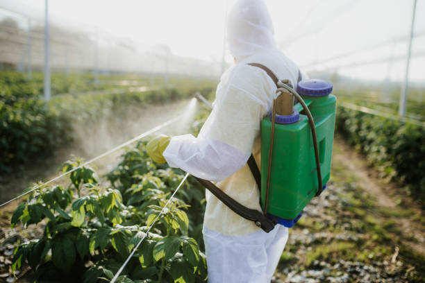 Wildlife Control Services in Penitas, TX